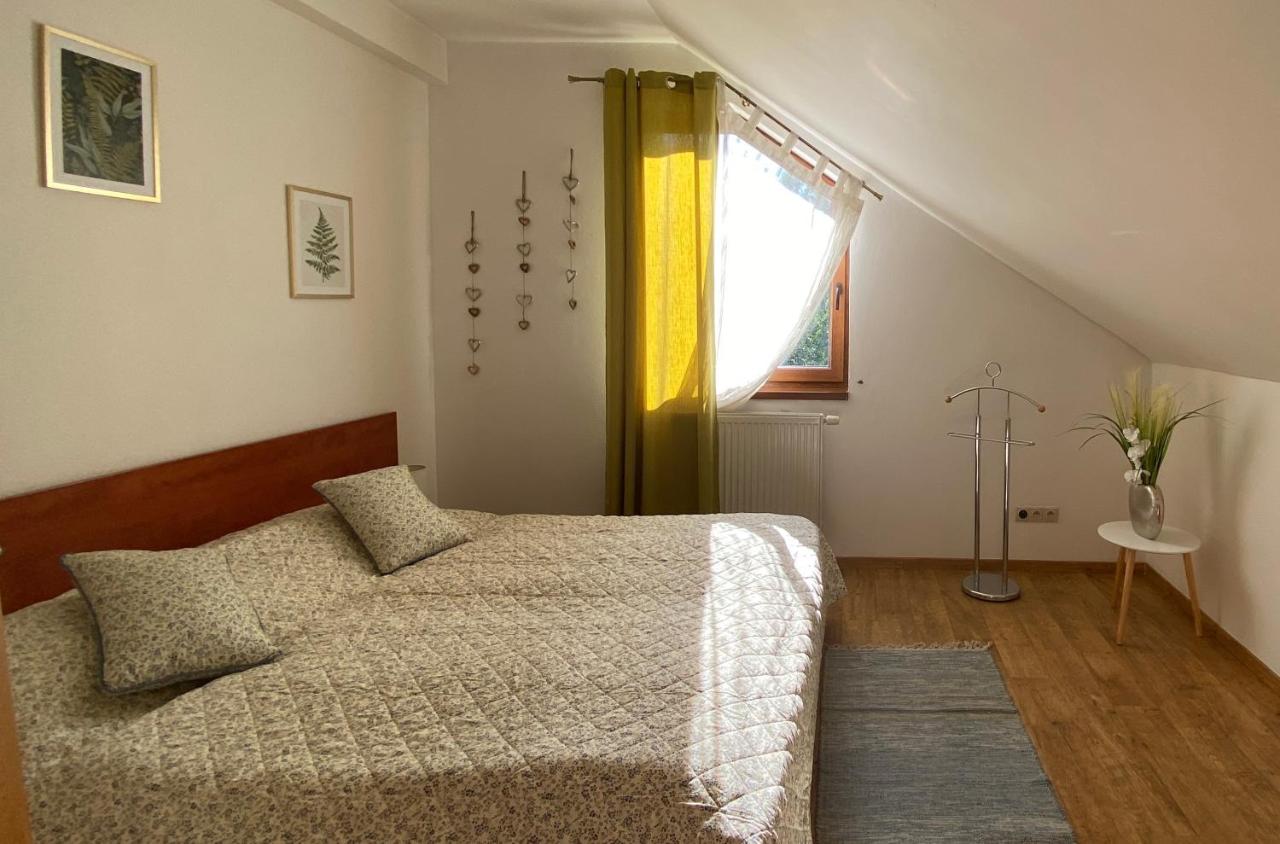 One-Bedroom Apartment with Mountain View – Attic — photo 6