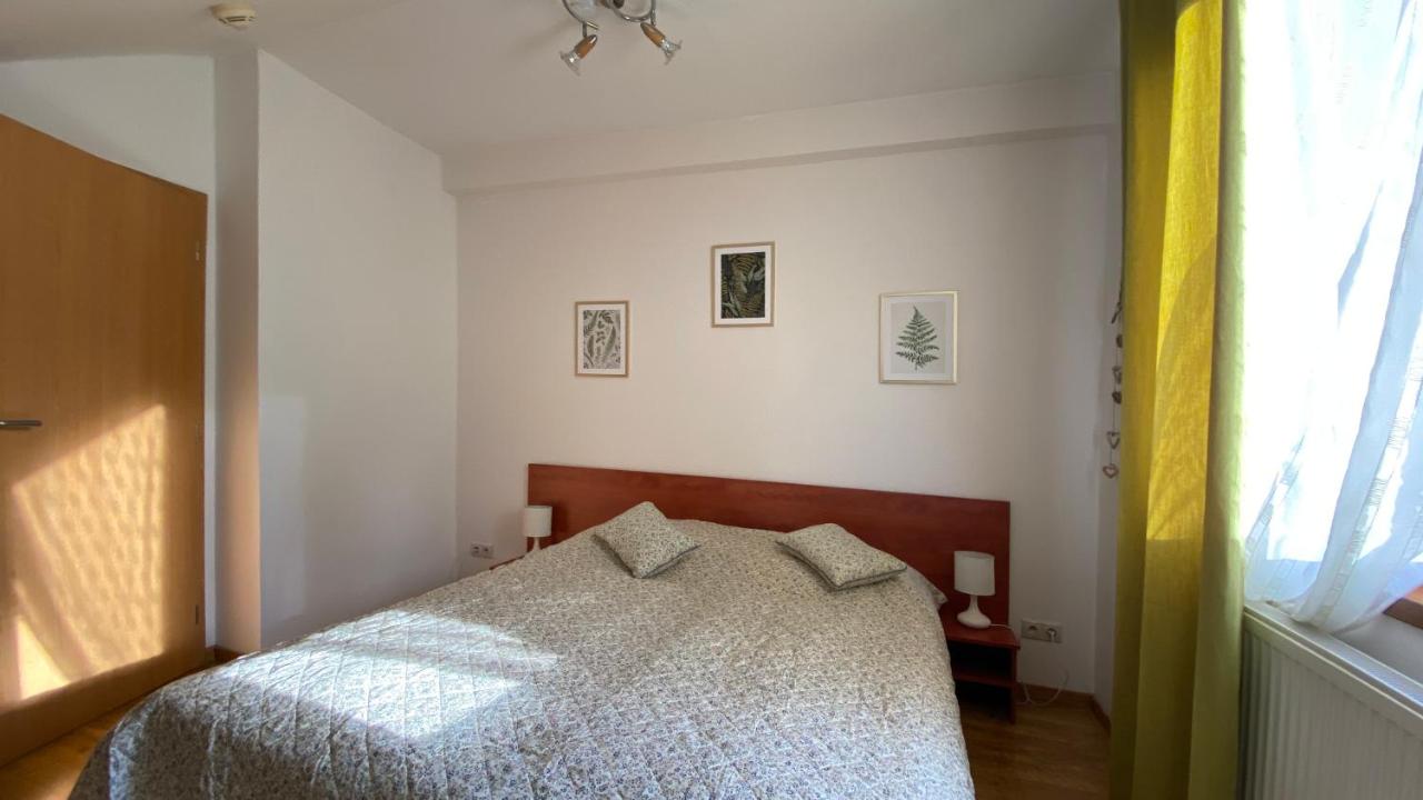 One-Bedroom Apartment with Mountain View – Attic — photo 7