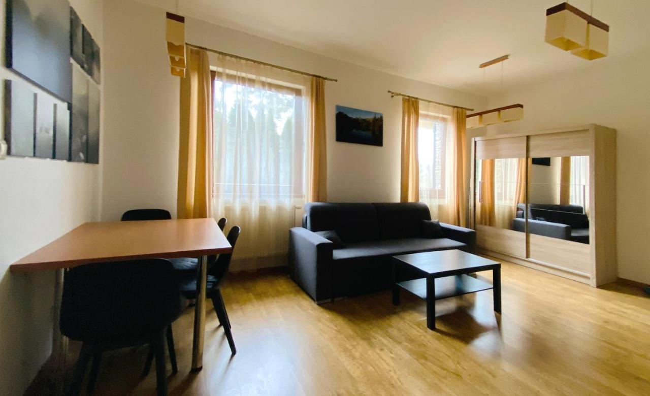 Forest-view apartment living area