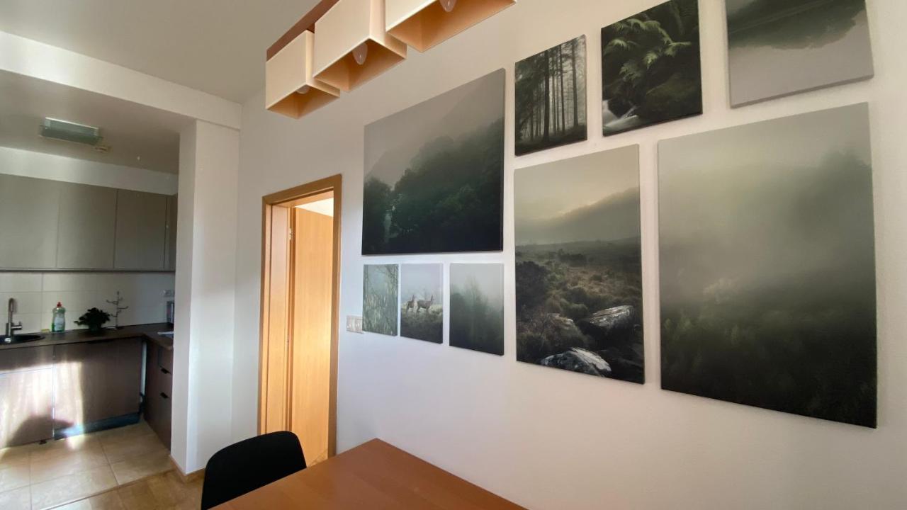Dining area and kitchenette