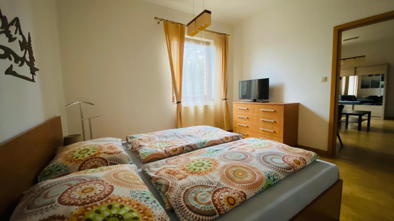 One-Bedroom Apartment with Forest View — photo 7