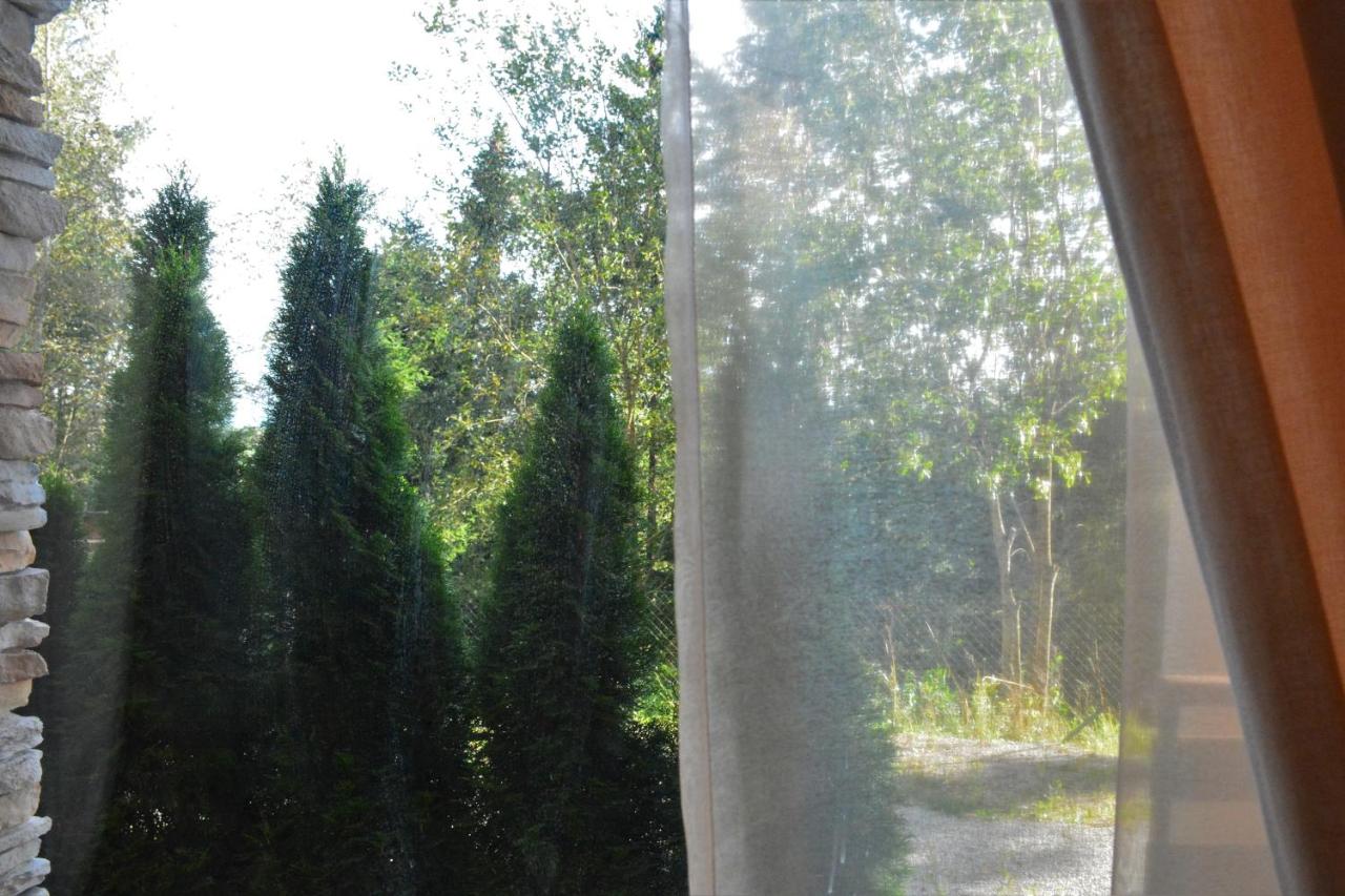 Quiet garden and forest view through the apartment window